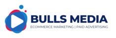 Bulls media logo